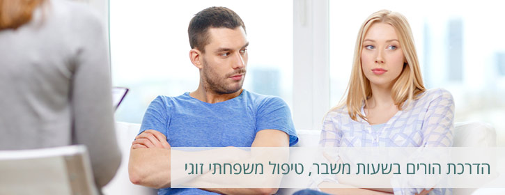 הדרכת הורים בשעת משבר,טיפול משפחתי זוגי